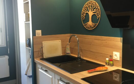 IDÉAL INVESTISSEUR OU PRIMO ACCÉDANT –  Appartement 3 pièces meublé en centre-ville