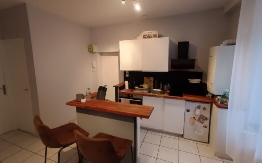 T1 bis meublé 37 m² avec alcôve – Centre-ville de Mâcon