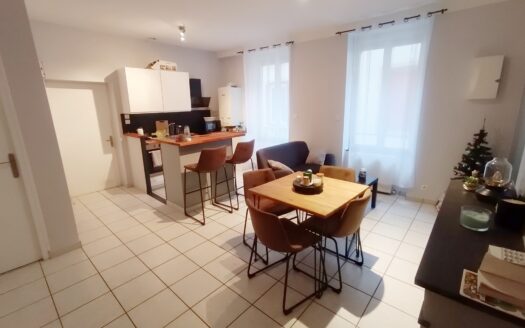 T1 bis meublé 37 m² avec alcôve – Centre-ville de Mâcon