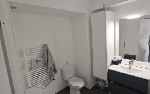 Appartement 2 Pièce