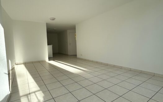 LOCALISATION EXCEPTIONNELLE + BALCON : Studio entre Cordeliers et Bellecour