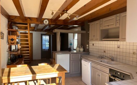 IDEAL INVESTISEUR-Deux habitations mitoyennes avec cour commune