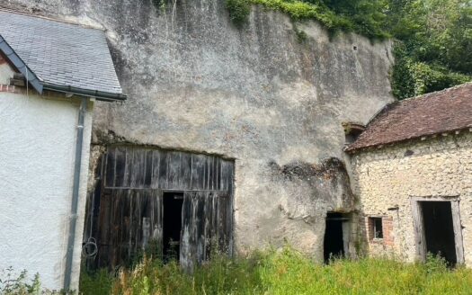 Vente propriété : 2 maisons, 3 caves, 1 verger, 1 grande cours sécurisé, 1 jardin, 2 dépendance