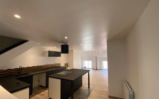 Superbe appartement en duplex au cœur de Macon