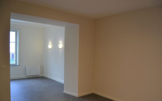 Charmant F2 rénové – 39 m² au cœur de Nancy,