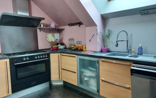 Maison 247m2 à vendre LOIRET La Chapelle sur Aveyron