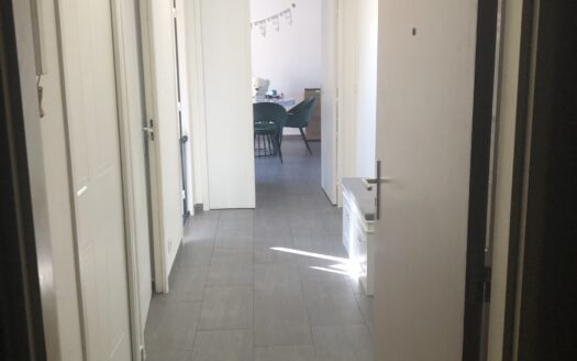IDEAL FAMILLE- Appartement T3 avec terrasse à Montpellier La Martelle