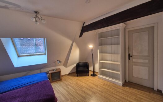 IDEAL INVESTISSEMENT : SUPERBE APPARTEMENT – HYPERCENTRE OBERNAI