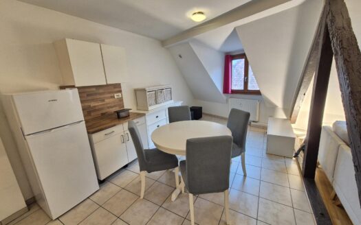 IDEAL INVESTISSEMENT : SUPERBE APPARTEMENT – HYPERCENTRE OBERNAI