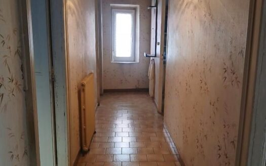 Vends maison vigneronne