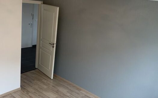 Appartement 2 pièces 45m²