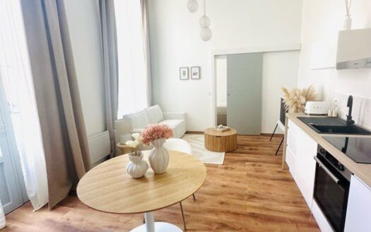 Appartement 135m2 idéal LCD