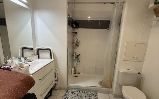 Appartement T2 43m2 et balcon 3m2