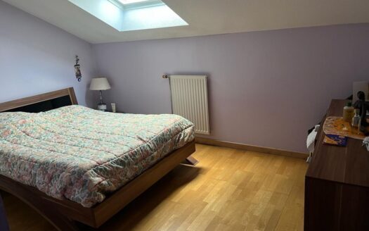 IDEAL COUPLE OU INVESTISSEUR,CHARMANT APPARTEMENT LUMINEUX
