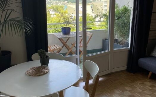 Superbe T2 de 44m2 meublé vue lac avec parking