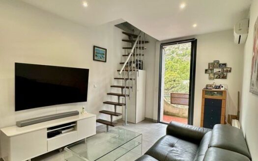 IDEAL COUPLE,INVESTISSEUR, CHARMANT T3 AVEC MEZZANINE