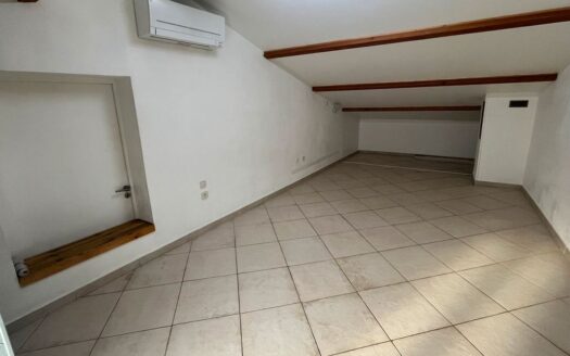 Villa 8 pièces avec jardin