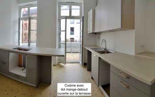 Appartement 4 pièces avec terrasse 112m2 Nantes Hypercentre Place de Bretagne Place du Cirque