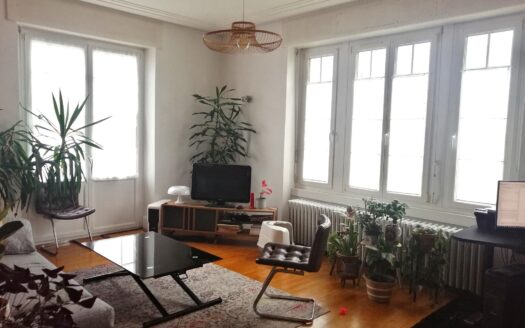 IDEALCOUPLE OU FAMILLE, CHARMANT APPARTEMENT LUMINEUX