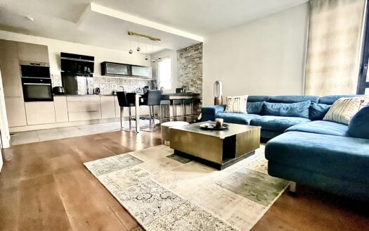Spacieux Duplex éco-quartier « Bords de Seine »