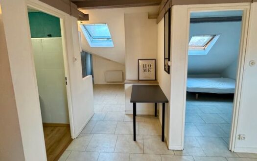Appartement 1 chambre