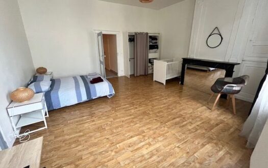 Appartement de 90m2 lumineux dans le Vieux Bergerac