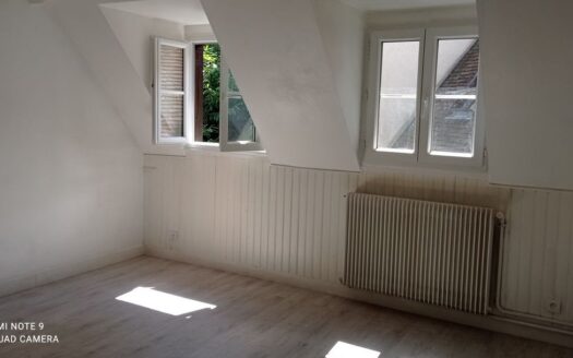 Ideal Investisseur Quartier Historique