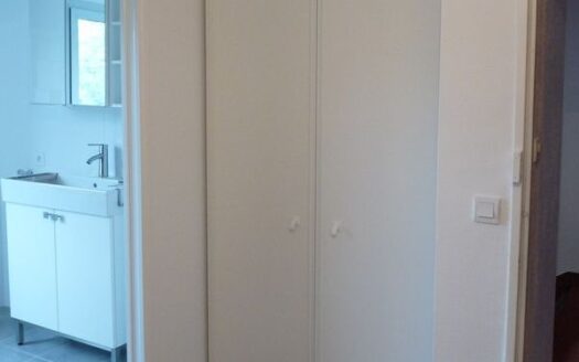 IDEAL INVESTISSEUR, CHARMANT STUDIO ENTIEREMENT RENOVE