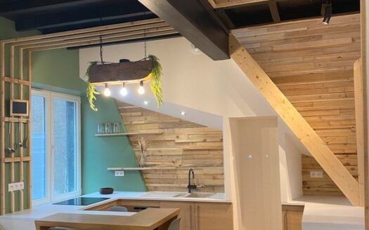 IDEAL INVESTISSEUR,CHARMANT DUPLEX ATYPIQUE  PROCHE DE LYON