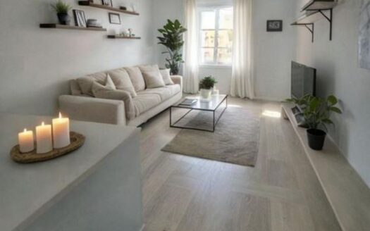 Appartement T2 Rénové de 46 m² au cœur du Puy-en-Velay  –  IDÉAL INVESTISSEUR OU JEUNE COUPLE