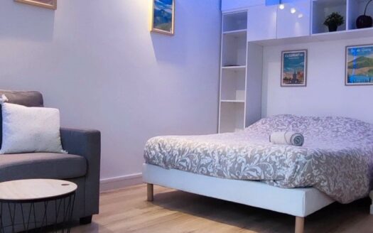 Studio 23 m2 entièrement rénové