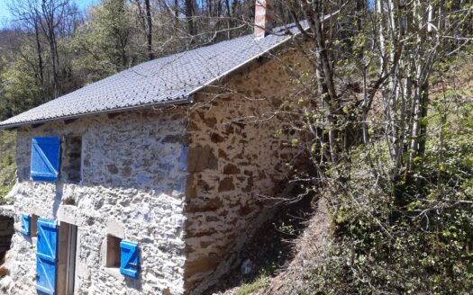 BERGERIE 40m2 en pleine forêt – Idéal pour projet d’autonomie