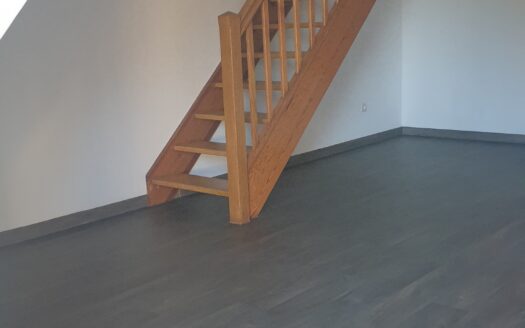 Charmant Duplex rénové