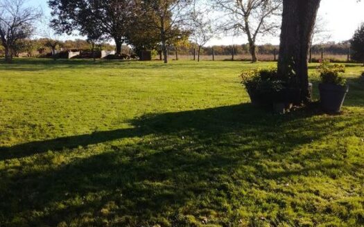 Ideal famille charmante maison  5000m2de terrain