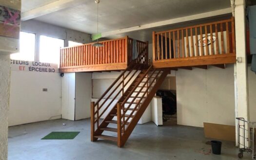 Maison appartement local commercial en location 98000