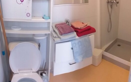 IDEAL INVESTISSEUR, CHARMANT STUDIO RENOVE