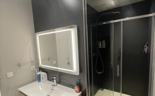 Appartement T3 lumineux de 67 m2