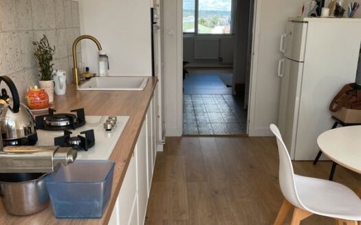 Appartement rénové avec goût, prêt à emménager