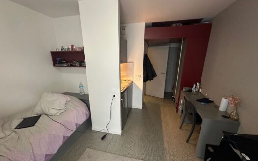 Appartement T1 20m2 dans résidence récente