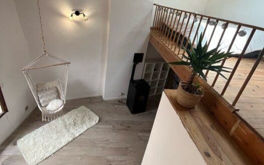 Appartement atypique centre-ville