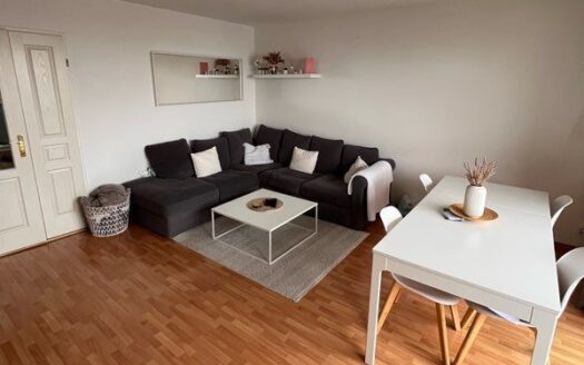 Appartement Toison d’Or
