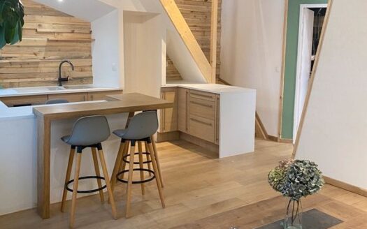 IDEAL INVESTISSEUR,CHARMANT DUPLEX ATYPIQUE  PROCHE DE LYON