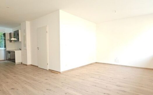 Idéal 1er achat ou investissement – Appartement rénové et lumineux