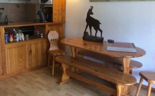 IDEAL INVESTISSEUR, CHARMANT STUDIO MEUBLE