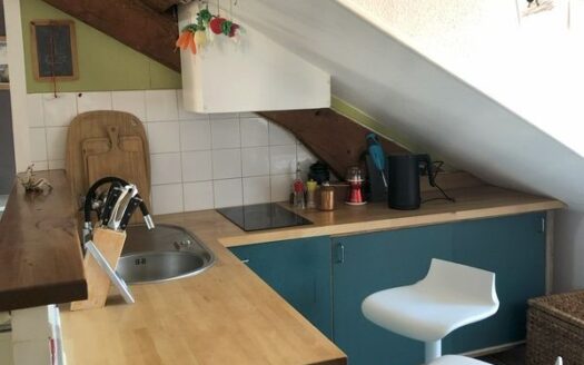 À Vendre de Particulier à Particulier : Appartement T2bis Atypique en Hypercentre