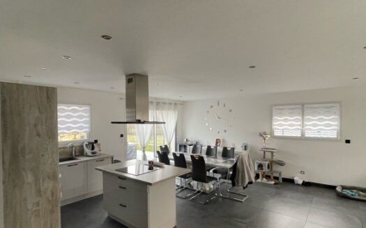 Idéal Famille:  Pavillon moderne plain-pied avec piscine et prestations haut de gamme