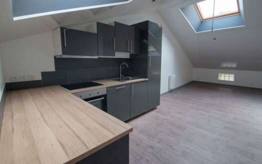 Opportunité Investissement : Immeuble de Rapport à Knutange – 10% de Rentabilité !