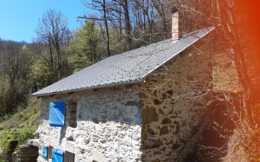 BERGERIE 40m2 en pleine forêt – Idéal pour projet d’autonomie