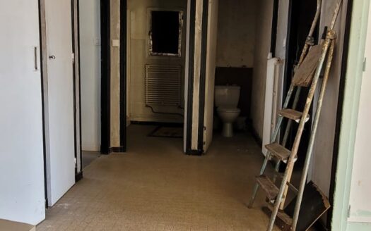 IDEAL FAMILLE/ IMMEUBLE / 2 APPARTEMENTS, CAVES, JARDIN