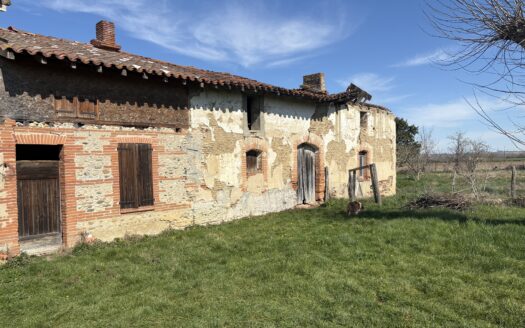 Bâtiment de 400m2 sur 3000m2 de terrain Agricole